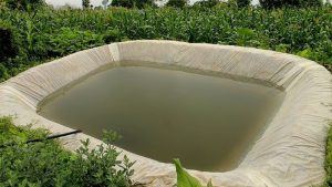ذخیره کردن آب باران در منطقه کشاورزی برای آبیاری به گیاهان