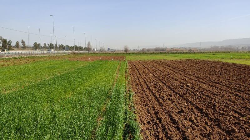 انواع مخازن آب کشاورزی و انتخاب بهترین مخازن کشاورزی برای باغ و مزرعه
